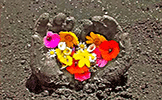 Mother Soil
