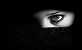 Spider And Woman